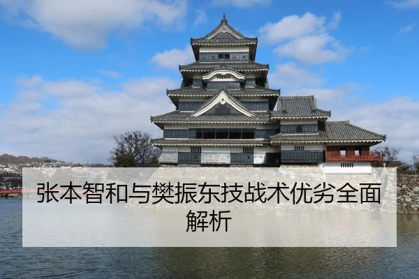张本智和与樊振东技战术优劣全面解析